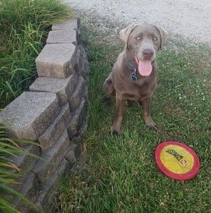 Meet your Posher, Wayne